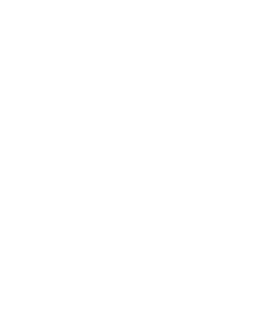 El-Zayin